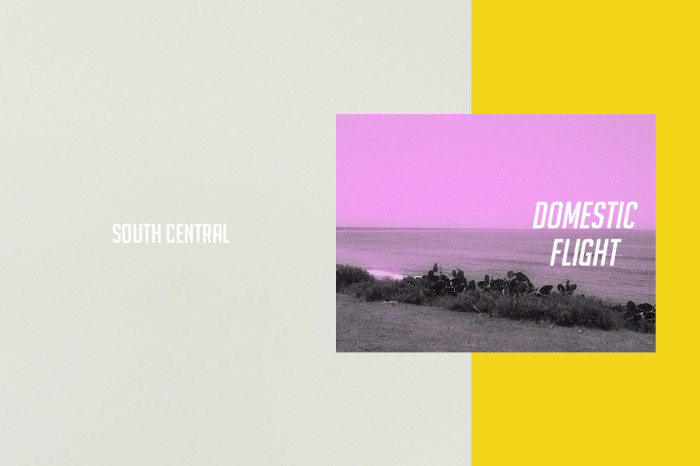 South Central domestic flight capsule collection