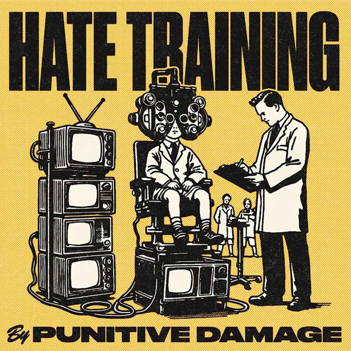 PUNITIVE DAMAGE ‘HATE TRAINING’